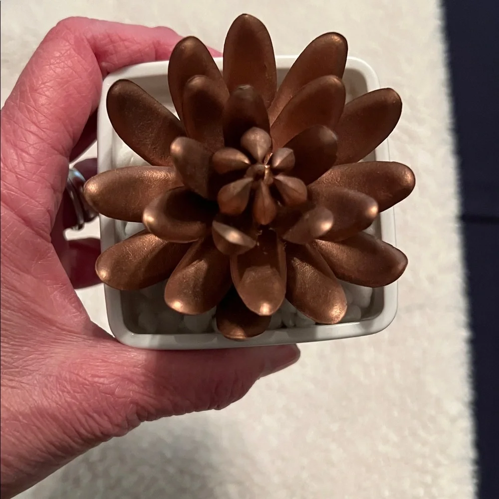 Copper Succulent Decorative Cactus Accent in White Planter